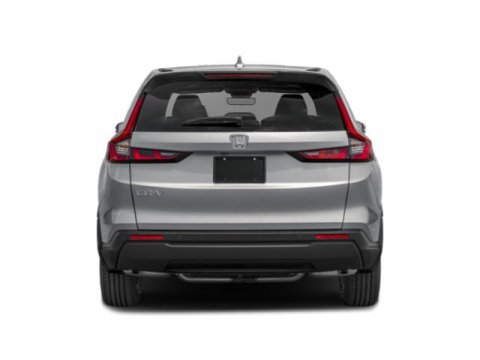 Slide 5 of 14