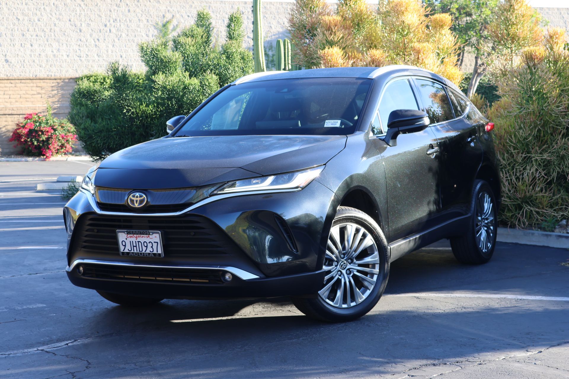 2023 Toyota Venza 4D Sport Utility