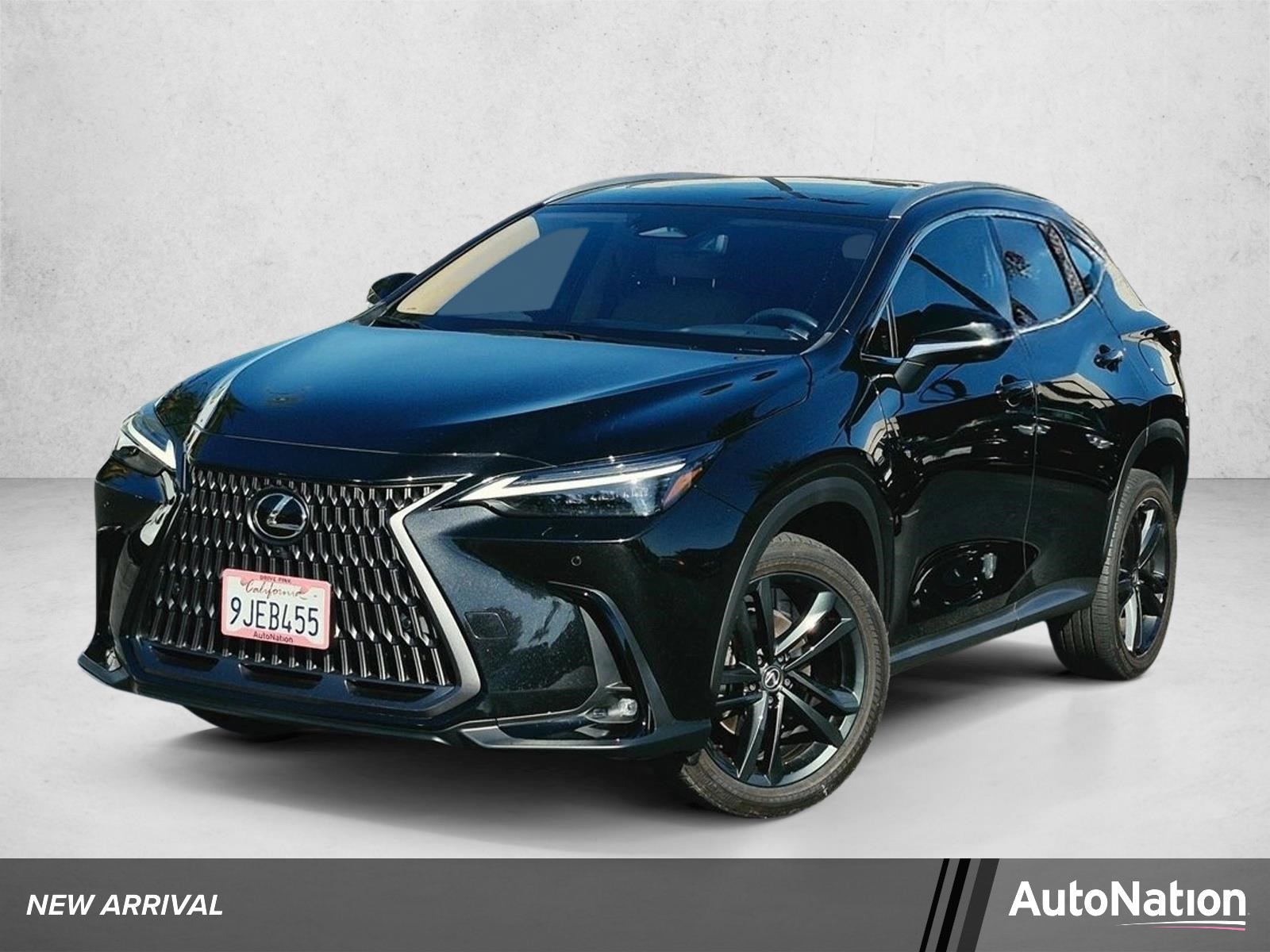 2024 Lexus NX 4WD Sport Utility Vehicles