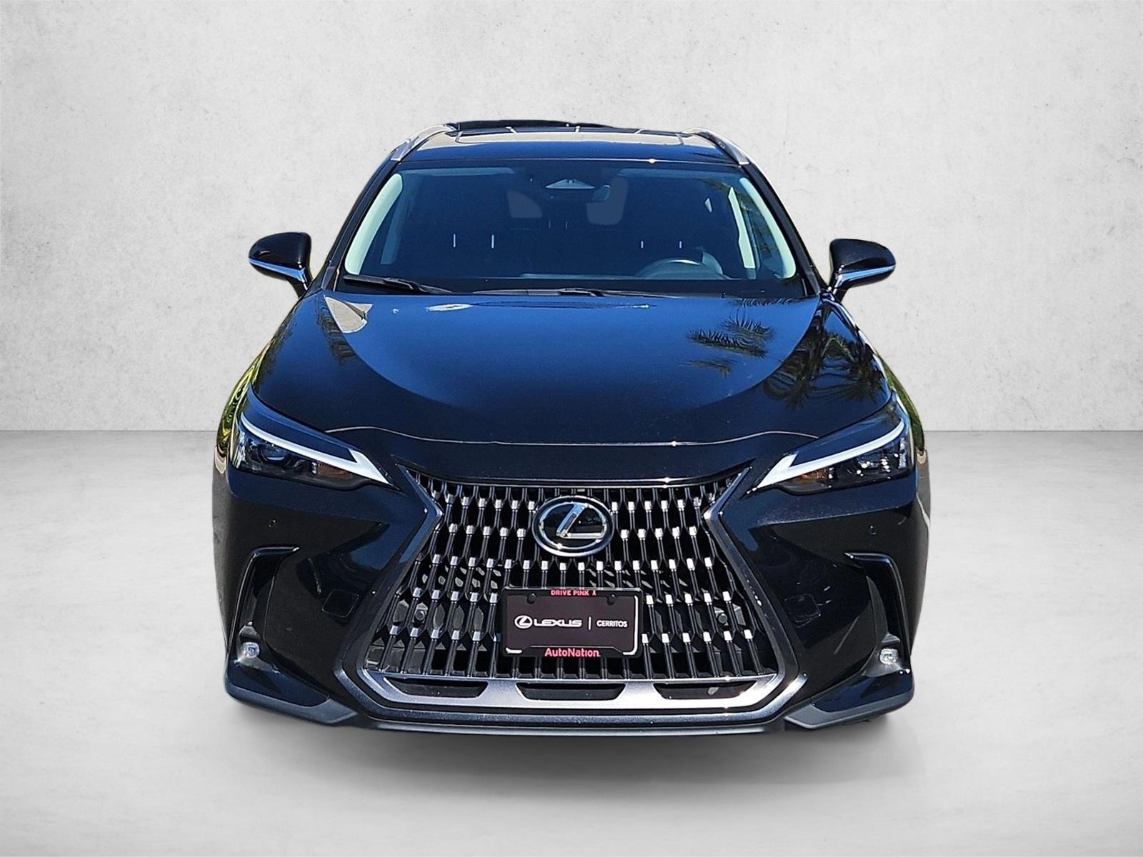 2025 Lexus NX 250