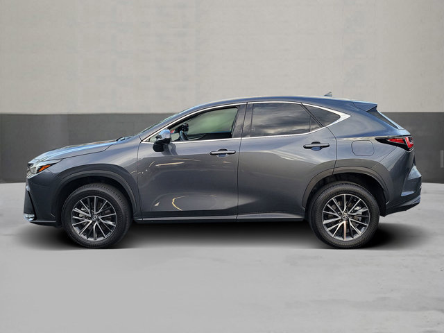 2024 Lexus NX 350 350 Premium AWD's photo