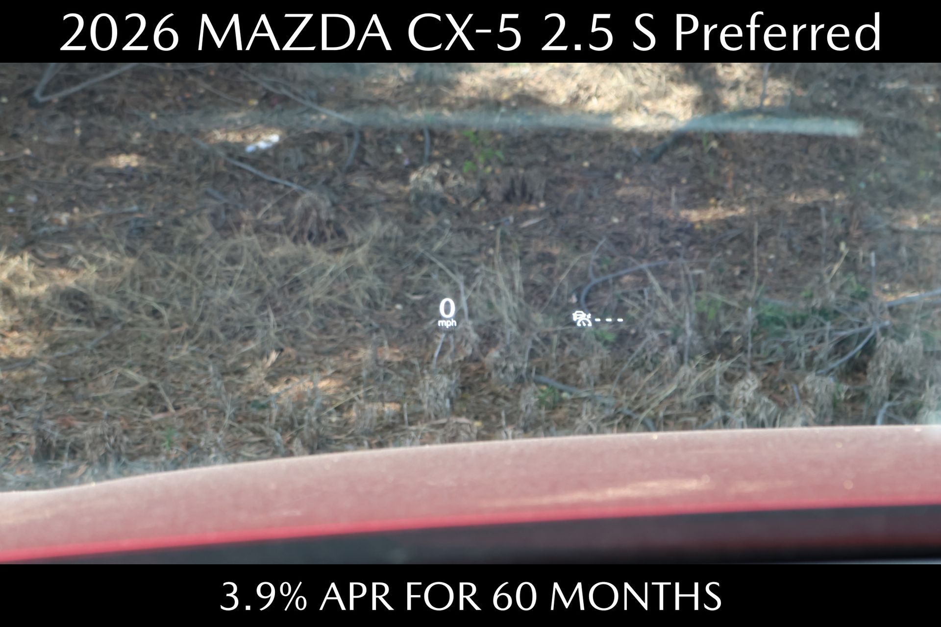 Slide 12 of 22