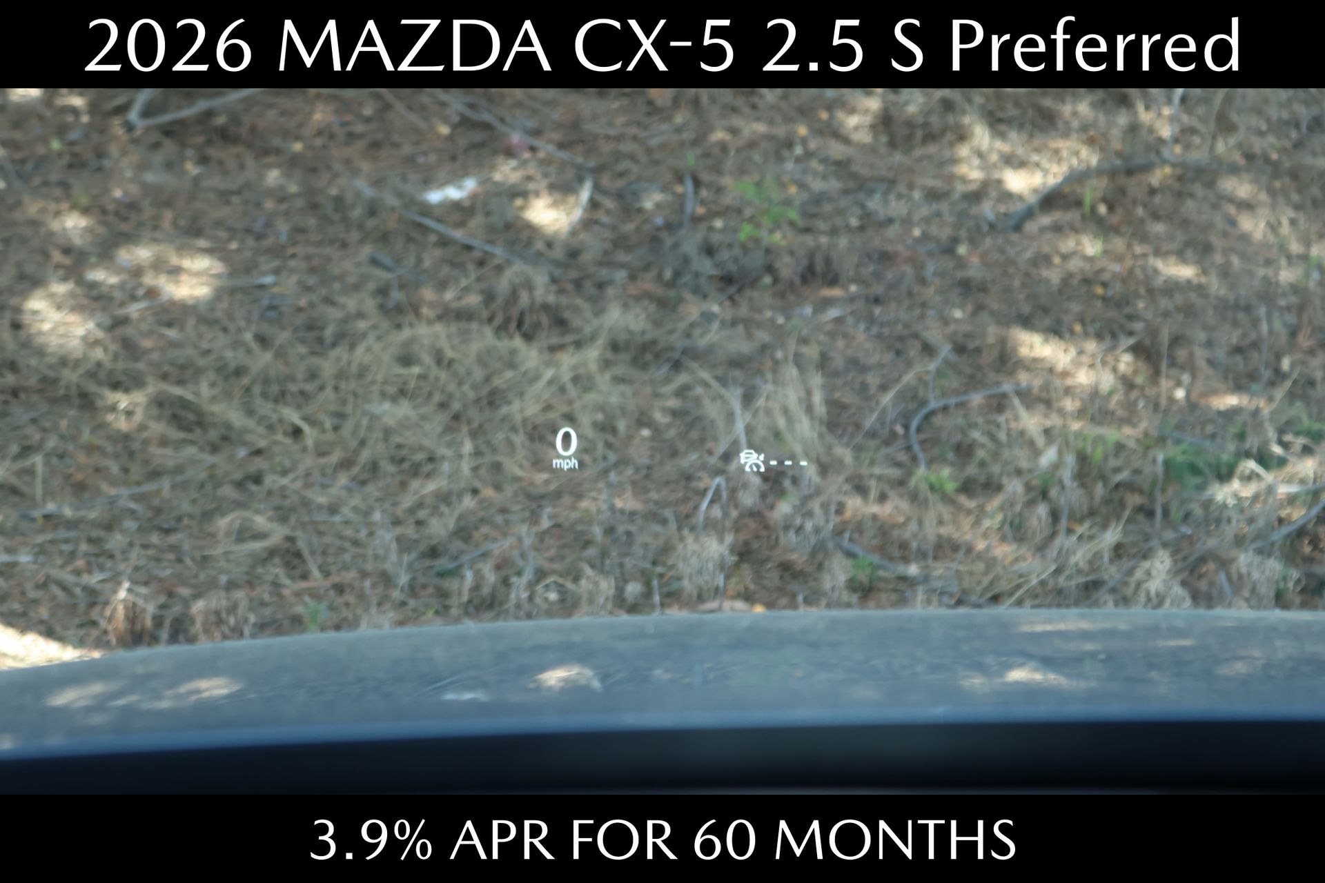 Slide 12 of 21